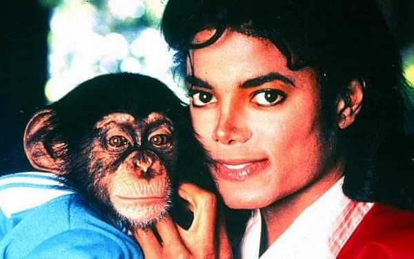 Hewan Peliharaan Seleb